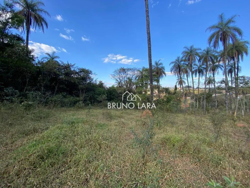 Terreno, 12 hectares - Foto 3