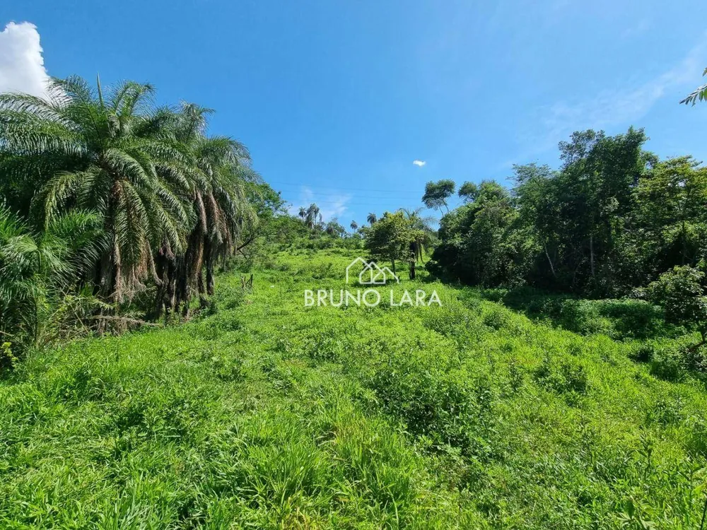 Terreno, 25 hectares - Foto 7