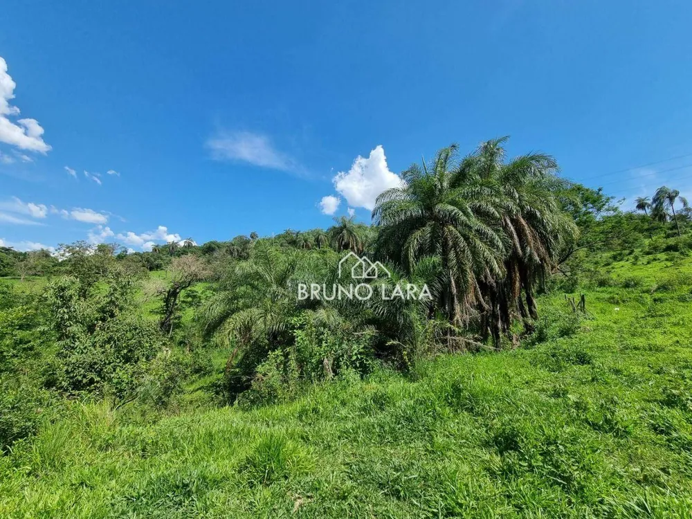 Terreno, 25 hectares - Foto 6