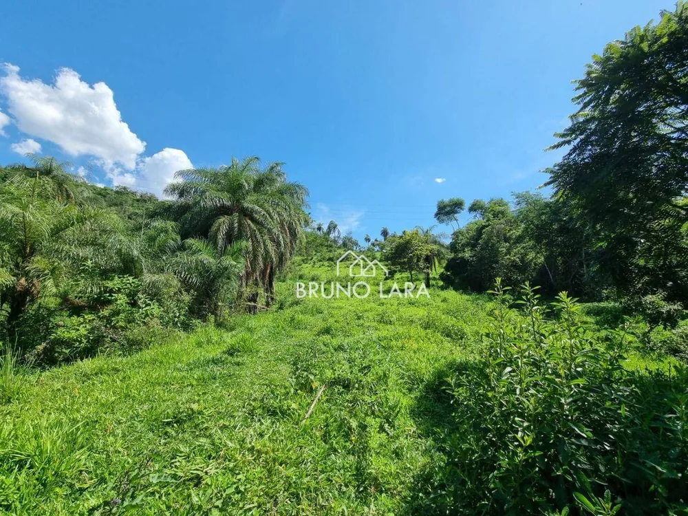 Terreno, 25 hectares - Foto 3