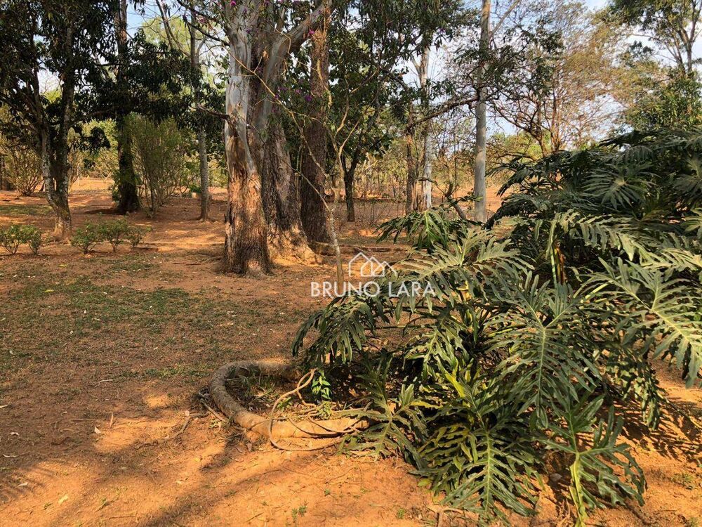 Sítio à venda com 3 quartos, 150m² - Foto 7