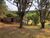 Sítio, 3 quartos, 6000 m² - Foto 27