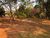 Sítio, 3 quartos, 6000 m² - Foto 30