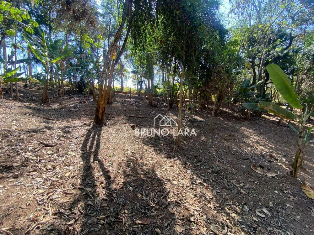 Terreno, 10000 m² - Foto 5