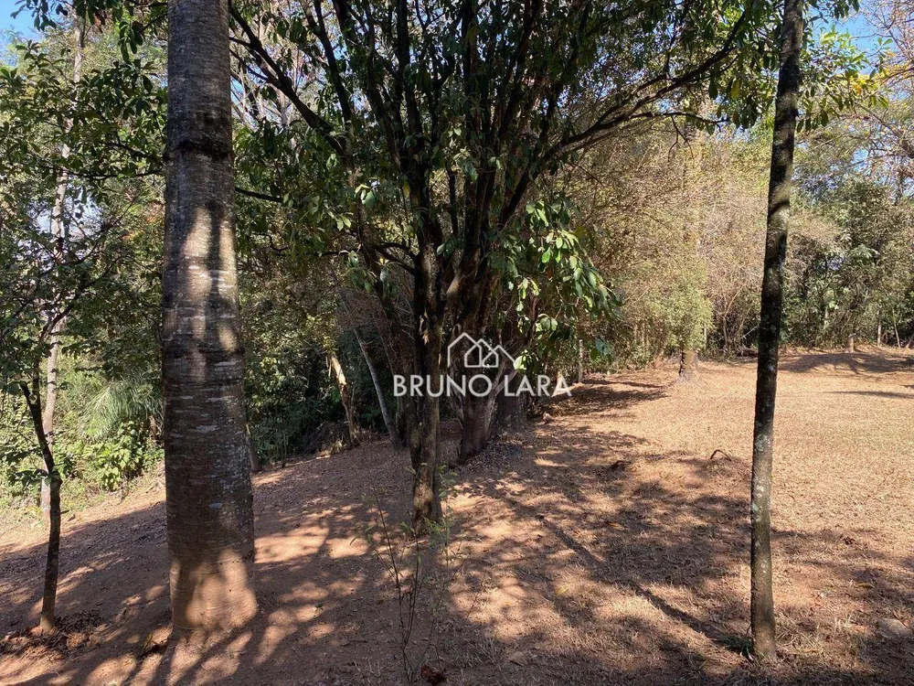 Terreno, 10000 m² - Foto 13