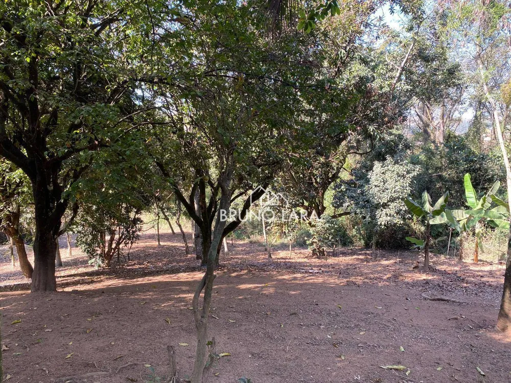 Terreno, 10000 m² - Foto 14