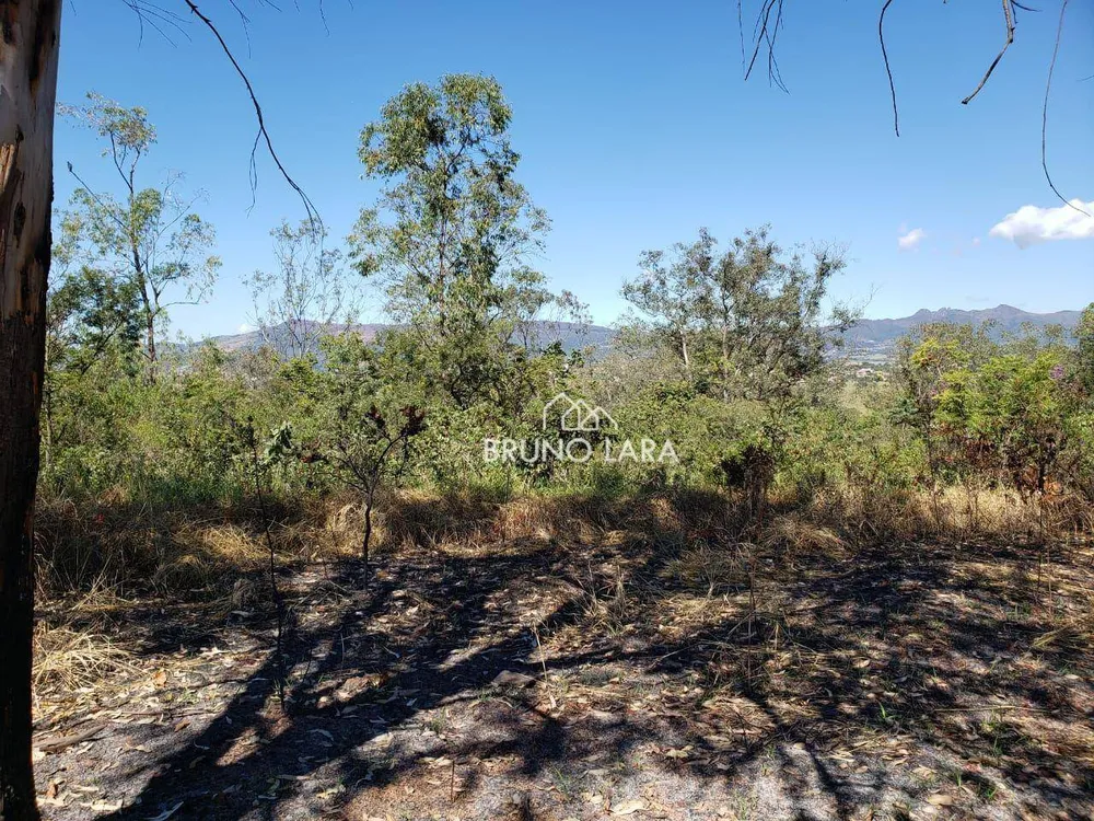 Terreno, 6 hectares - Foto 6