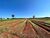 Terreno, 55 hectares - Foto 2