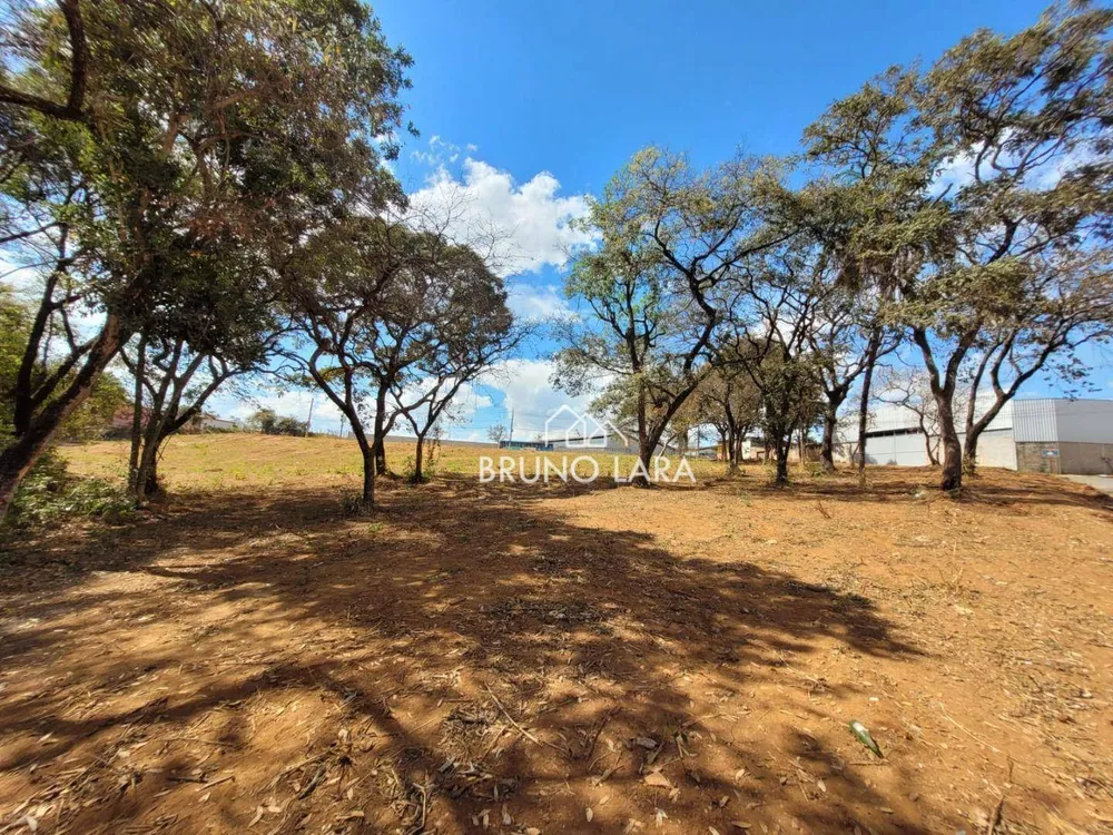 Terreno, 6000 m² - Foto 3