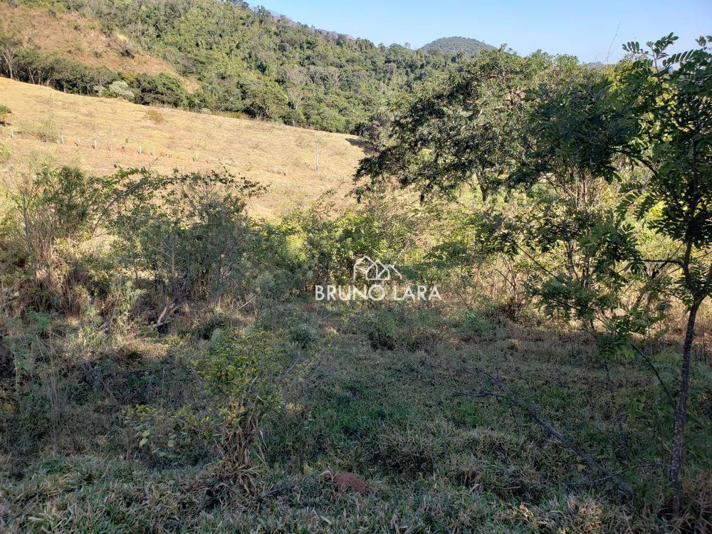 Terreno, 42 hectares - Foto 4