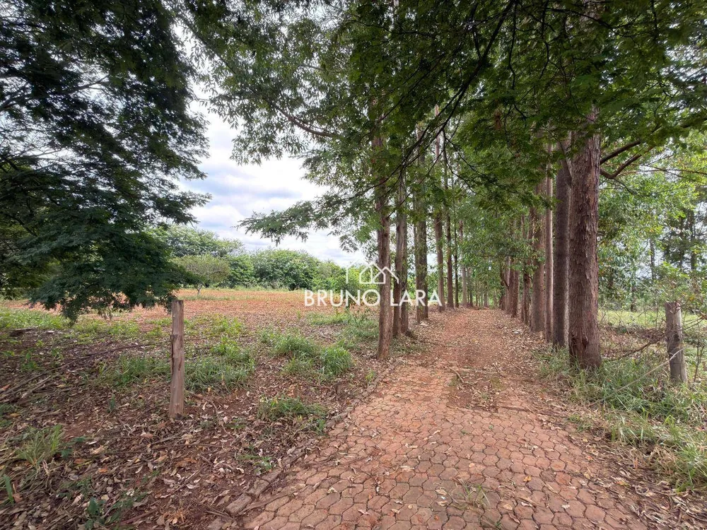 Terreno, 4 hectares - Foto 7