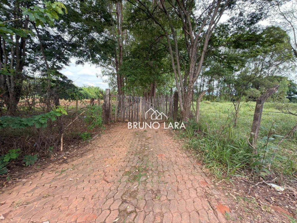 Terreno, 4 hectares - Foto 8
