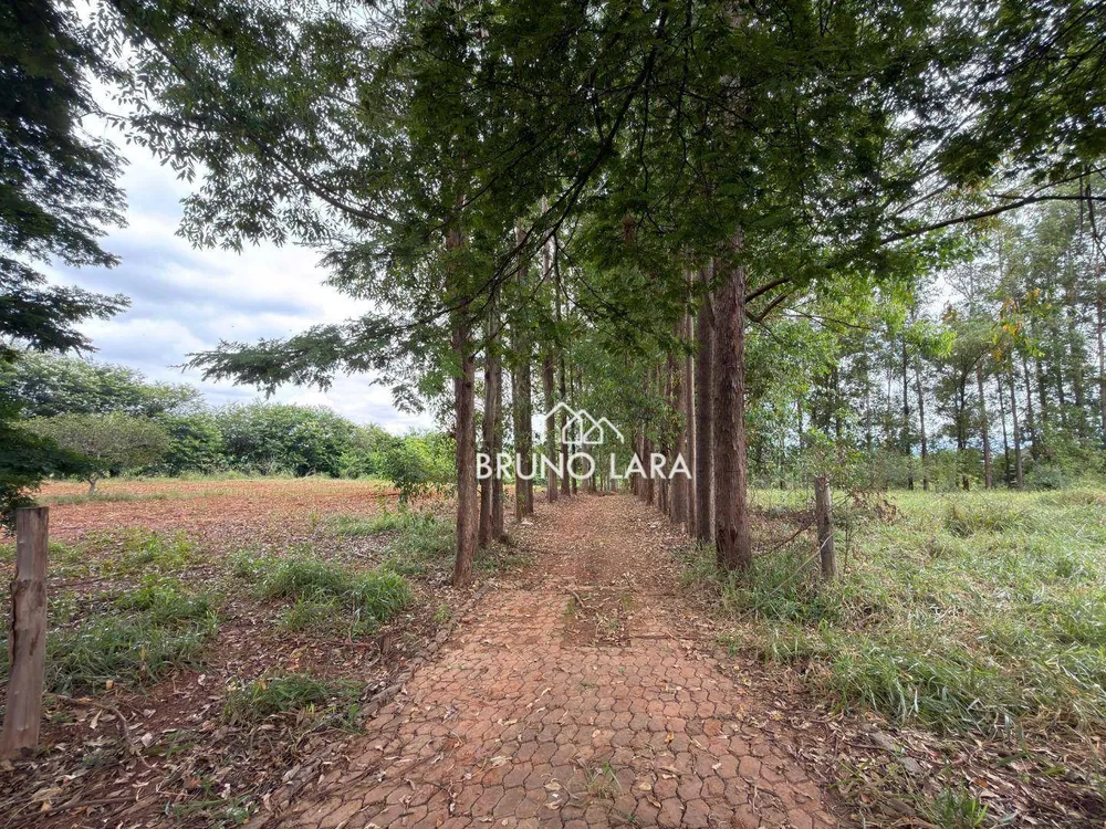 Terreno, 4 hectares - Foto 6