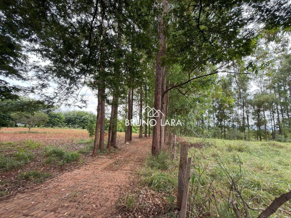 Terreno, 4 hectares - Foto 9