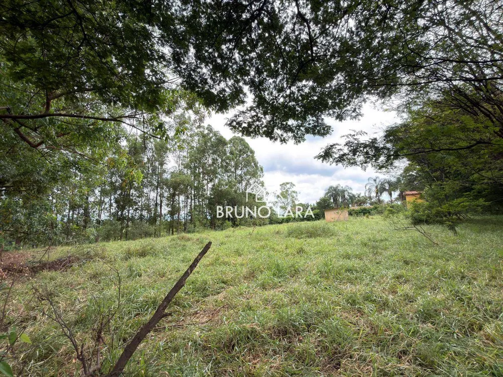 Terreno, 4 hectares - Foto 11