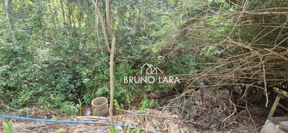 Sítio, 4 quartos, 2800 m² - Foto 1