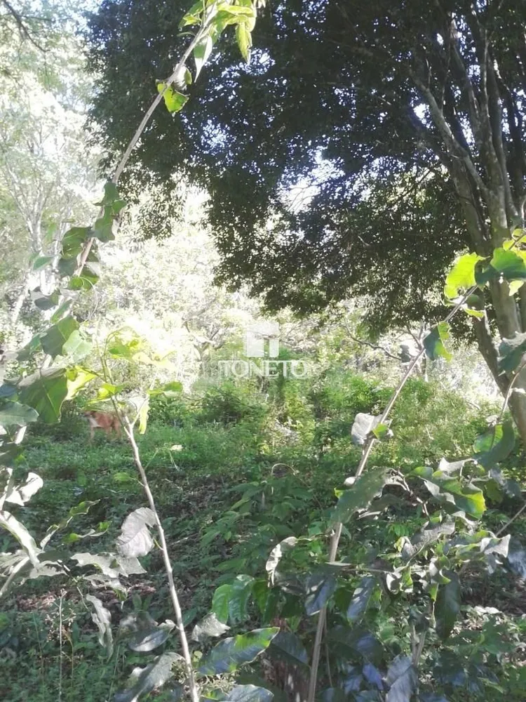 Terreno, 3 m² - Foto 3