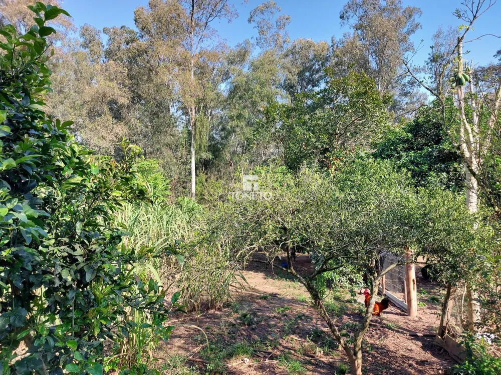 Terreno, 720 m² - Foto 3