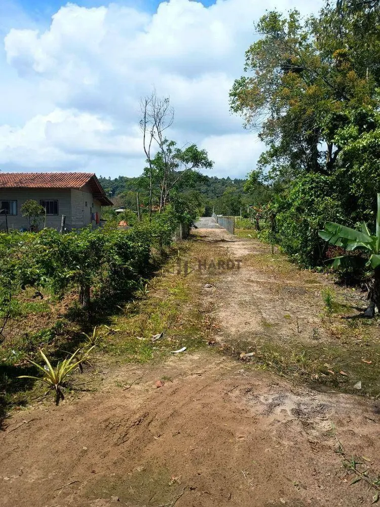 Chácara, 3 quartos, 6100 m² - Foto 9
