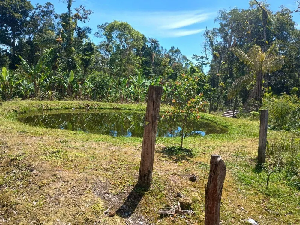 Chácara, 3 quartos, 6100 m² - Foto 8