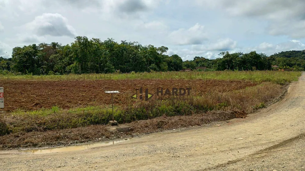 Terreno, 4 hectares - Foto 6