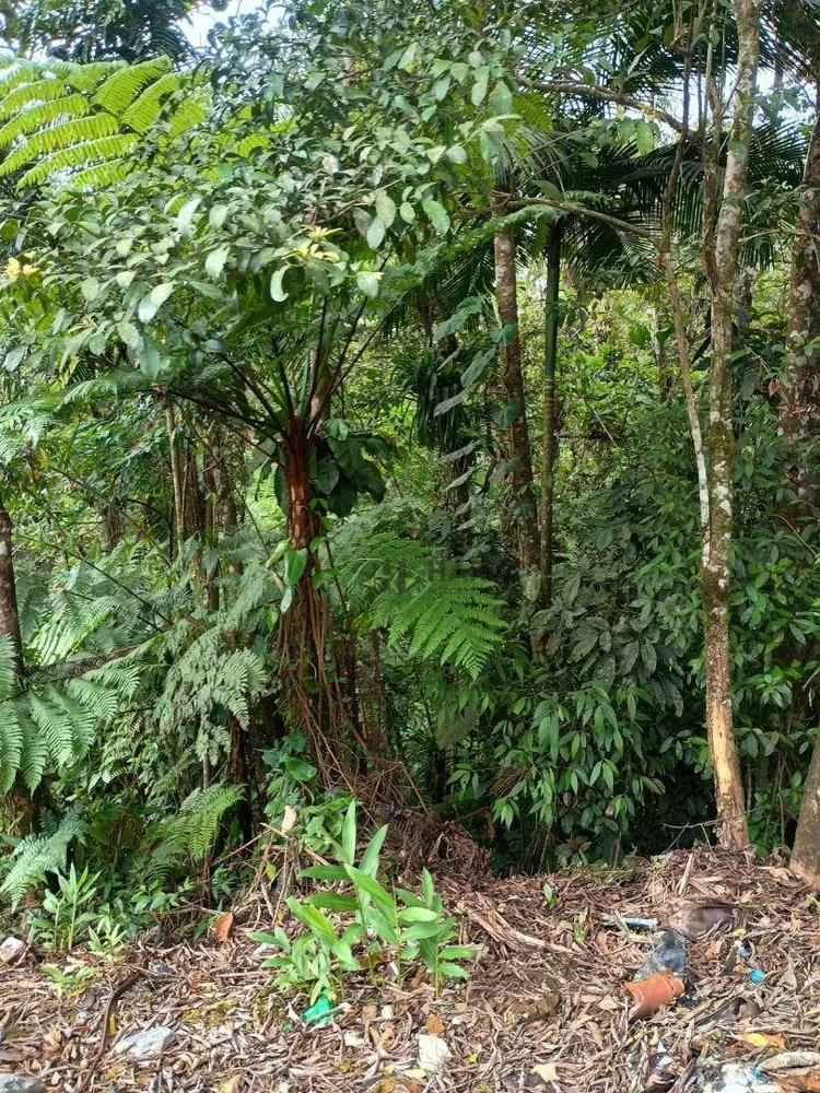 Terreno, 2 hectares - Foto 8