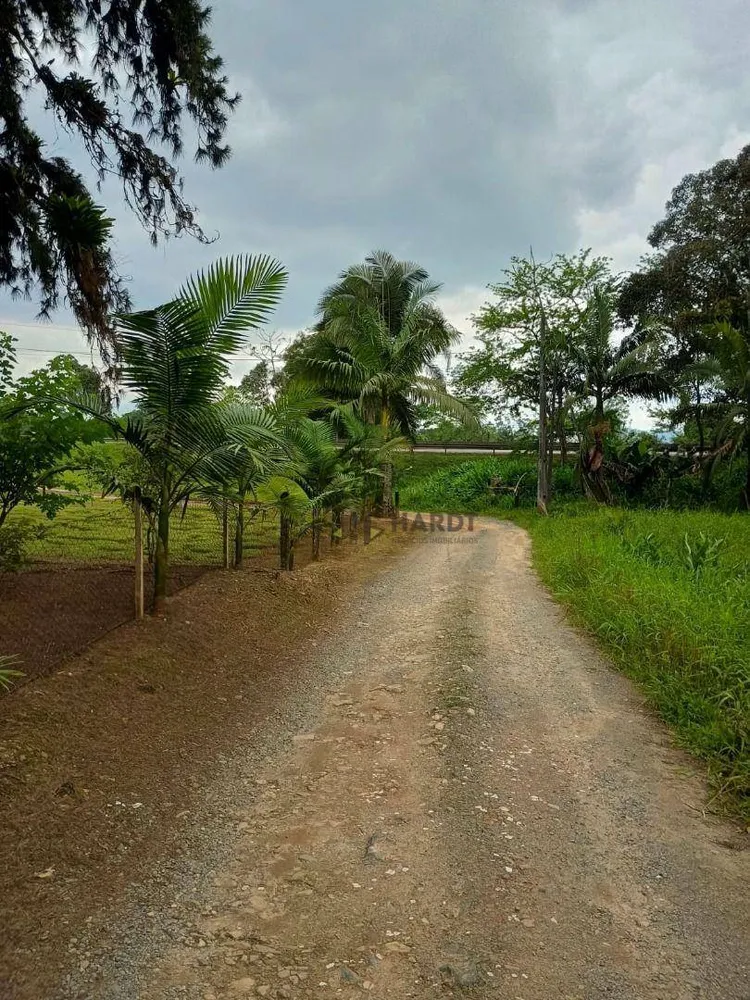 Terreno, 2 hectares - Foto 7