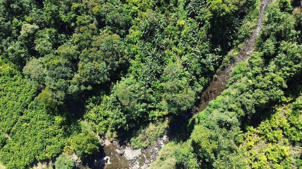 Terreno, 7 hectares - Foto 4