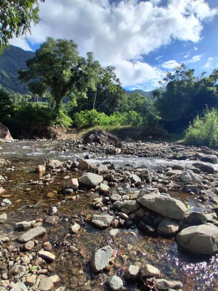 Terreno, 7 hectares - Foto 6