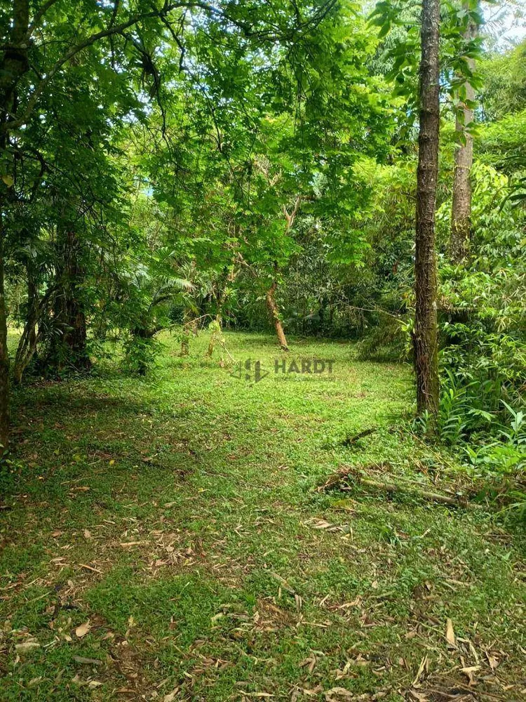 Chácara, 6 quartos, 4000 m² - Foto 4