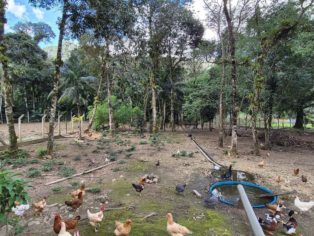 Chácara, 3 quartos, 2 hectares - Foto 9