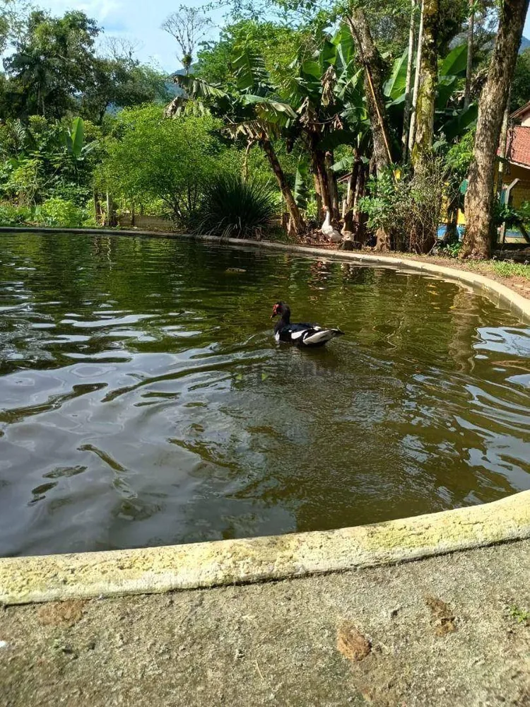 Chácara, 3 quartos, 2 hectares - Foto 11
