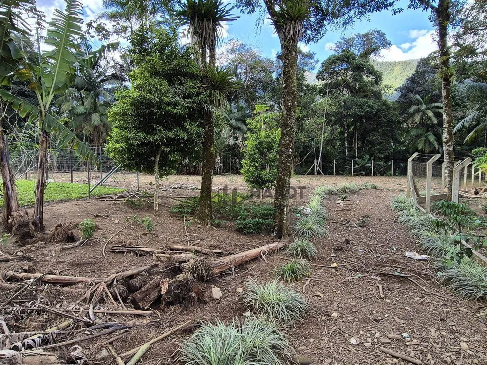 Chácara, 3 quartos, 2 hectares - Foto 4