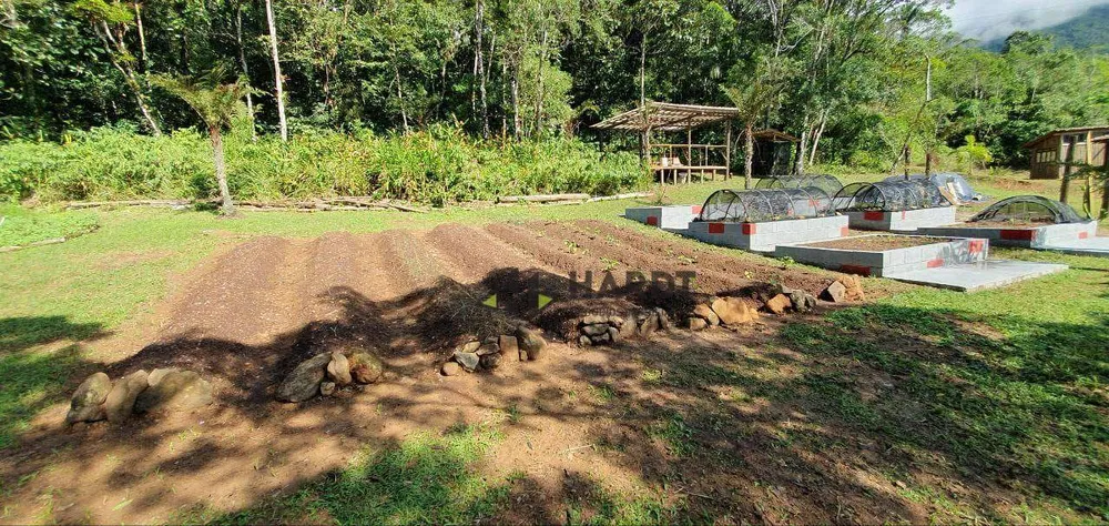 Chácara, 5 quartos, 31 hectares - Foto 15
