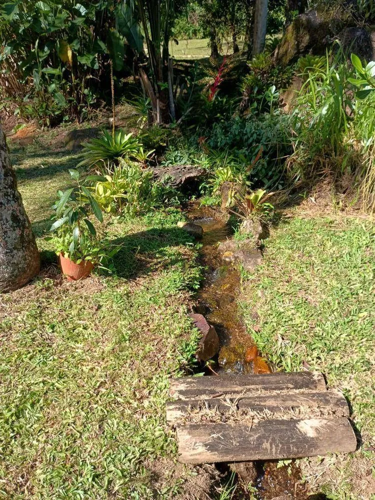 Chácara, 5 quartos, 31 hectares - Foto 8