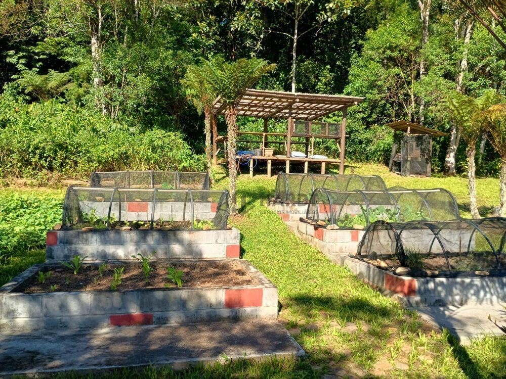 Chácara, 5 quartos, 31 hectares - Foto 2