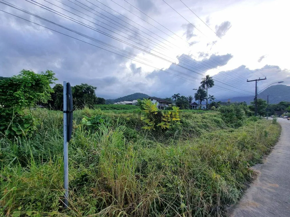 Terreno, 4 hectares - Foto 1
