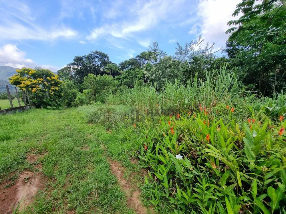 Terreno, 4 hectares - Foto 9