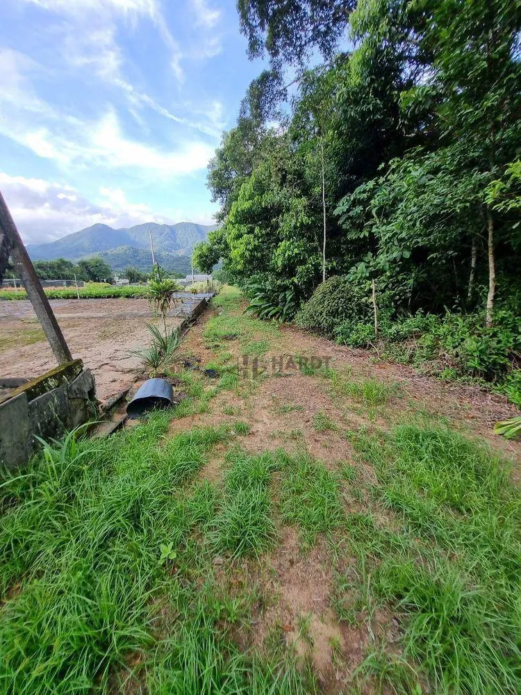 Terreno, 4 hectares - Foto 10