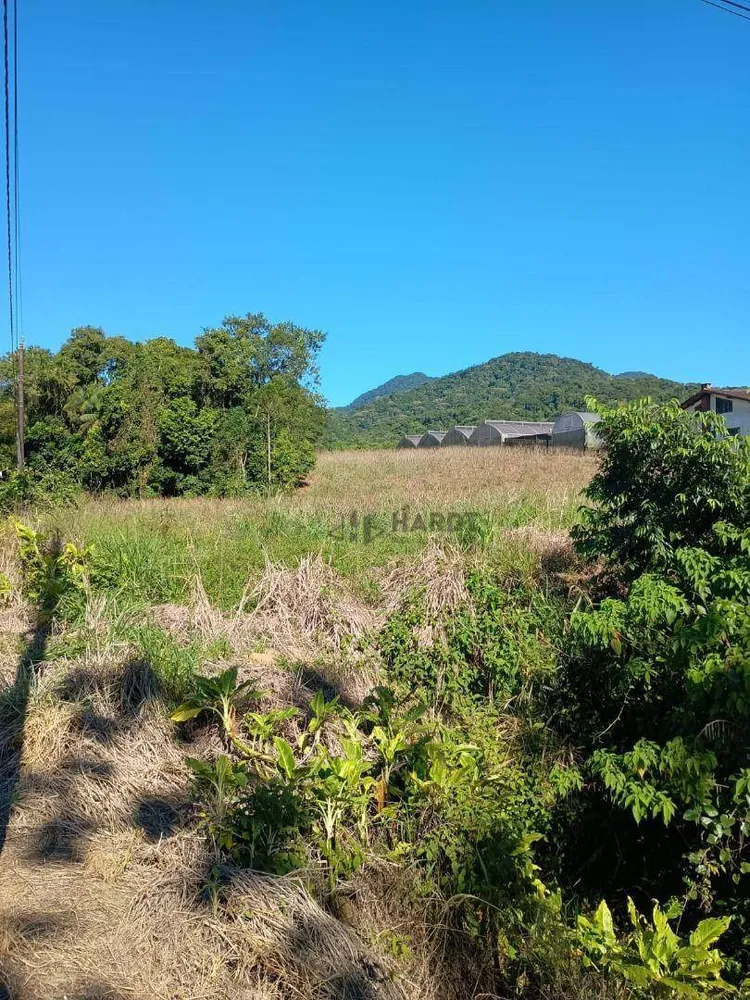 Terreno, 4 hectares - Foto 4