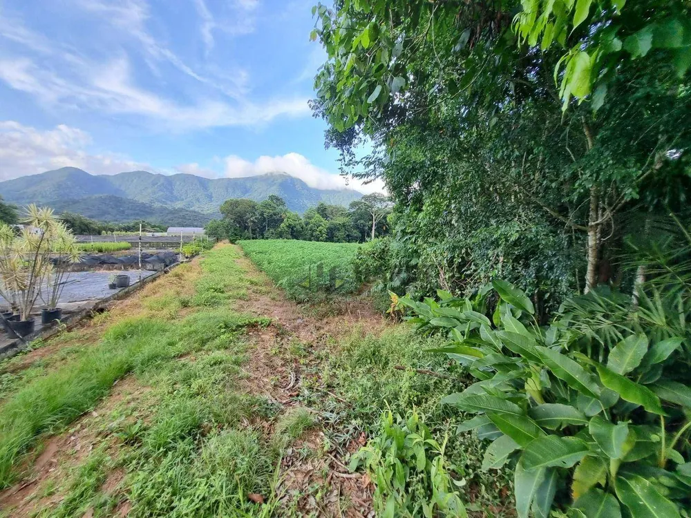 Terreno, 4 hectares - Foto 7