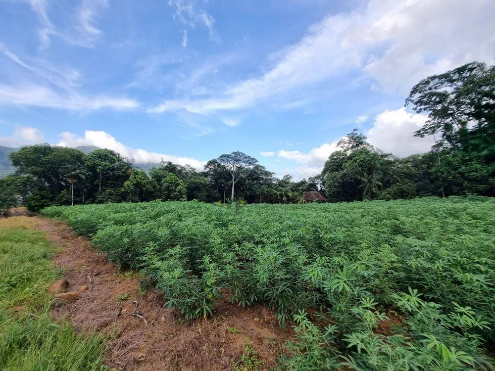 Terreno, 4 hectares - Foto 6