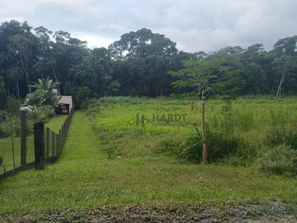 Terreno, 6 hectares - Foto 6