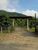 Chácara, 2 quartos, 5 hectares - Foto 2