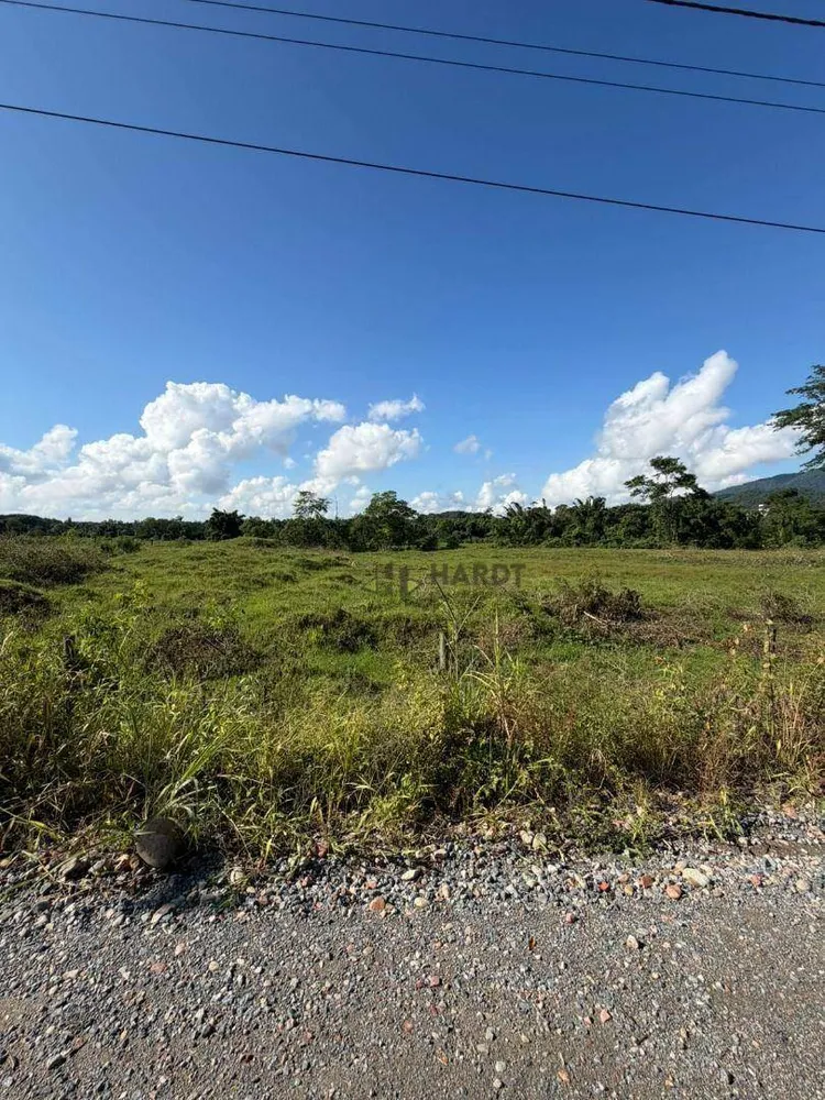 Terreno, 2 hectares - Foto 7