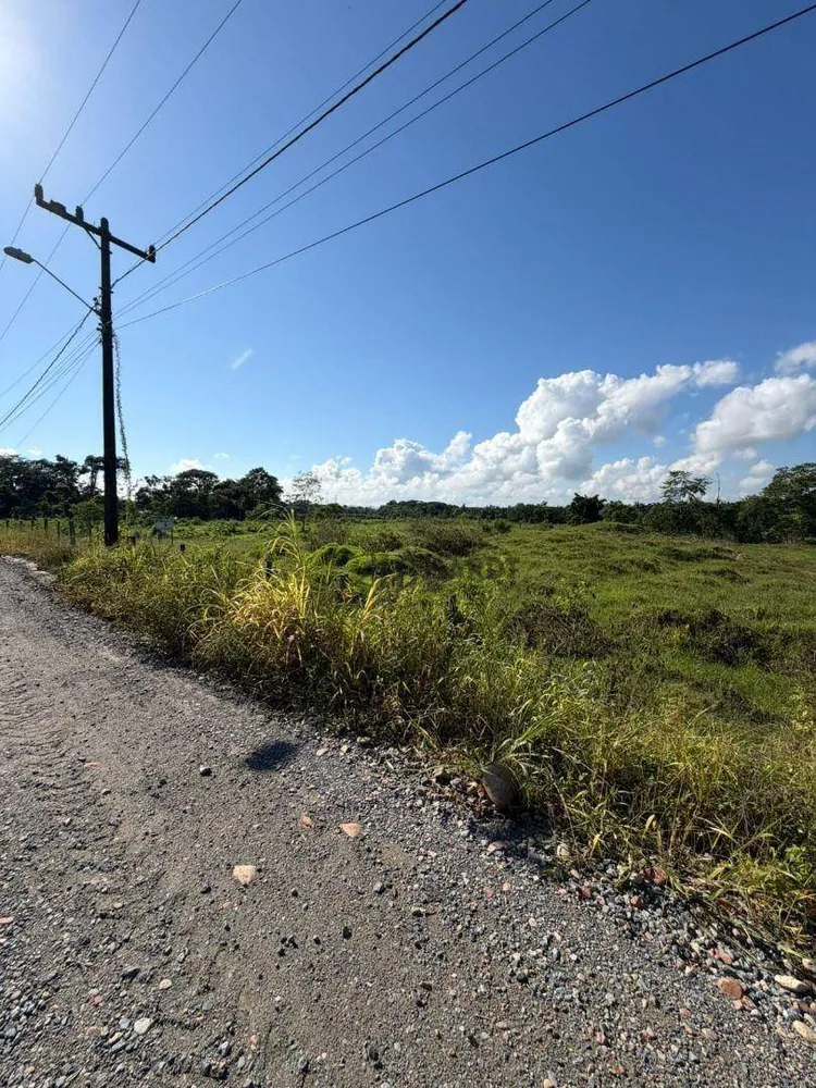 Terreno, 2 hectares - Foto 1