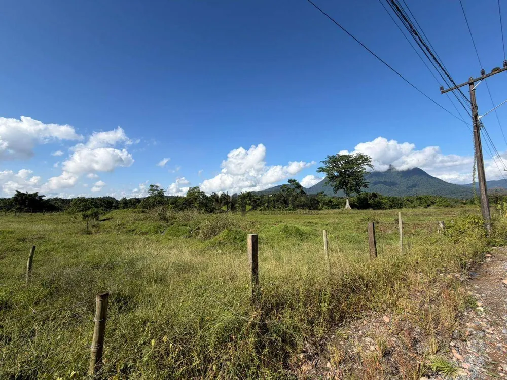 Terreno, 2 hectares - Foto 6