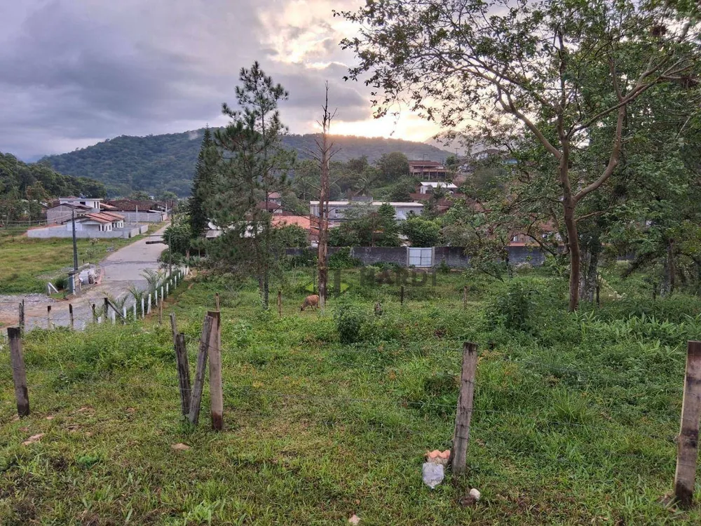 Terreno, 6 hectares - Foto 10
