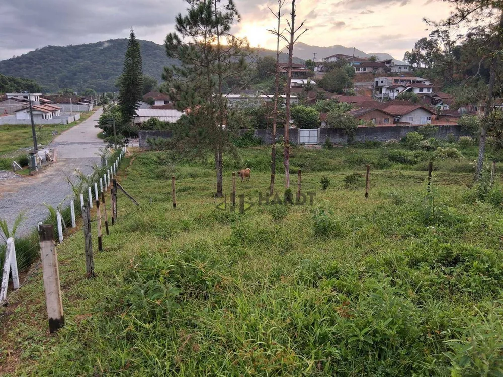 Terreno, 6 hectares - Foto 9
