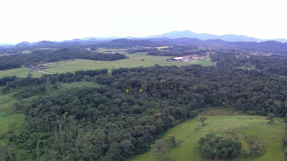 Terreno, 6 hectares - Foto 6